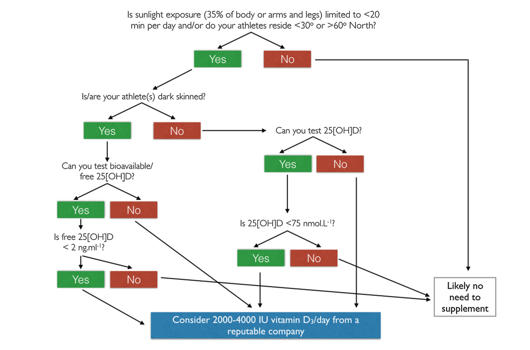 2019-12-23 15-27-51 Vitamin D and the Athlete  Current Perspectives and New Challenges - Google Chrome.png