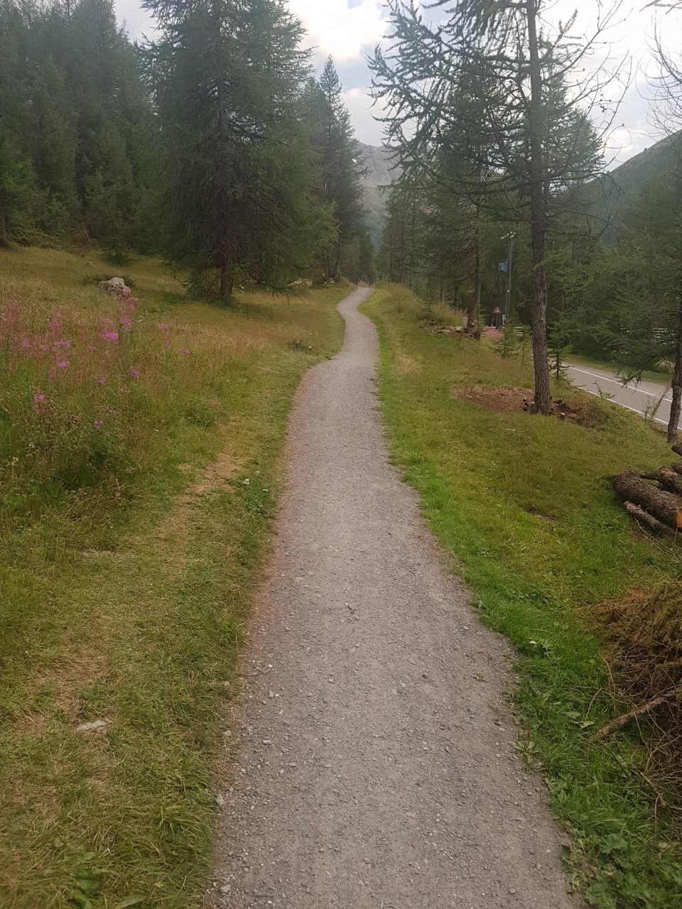 20190830_194315.jpg