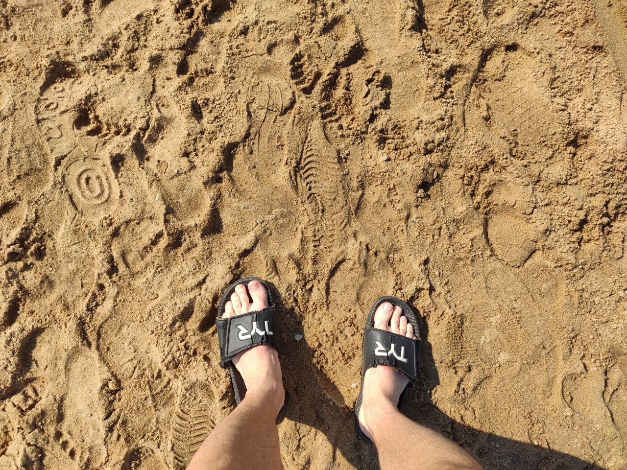 swim.jpg