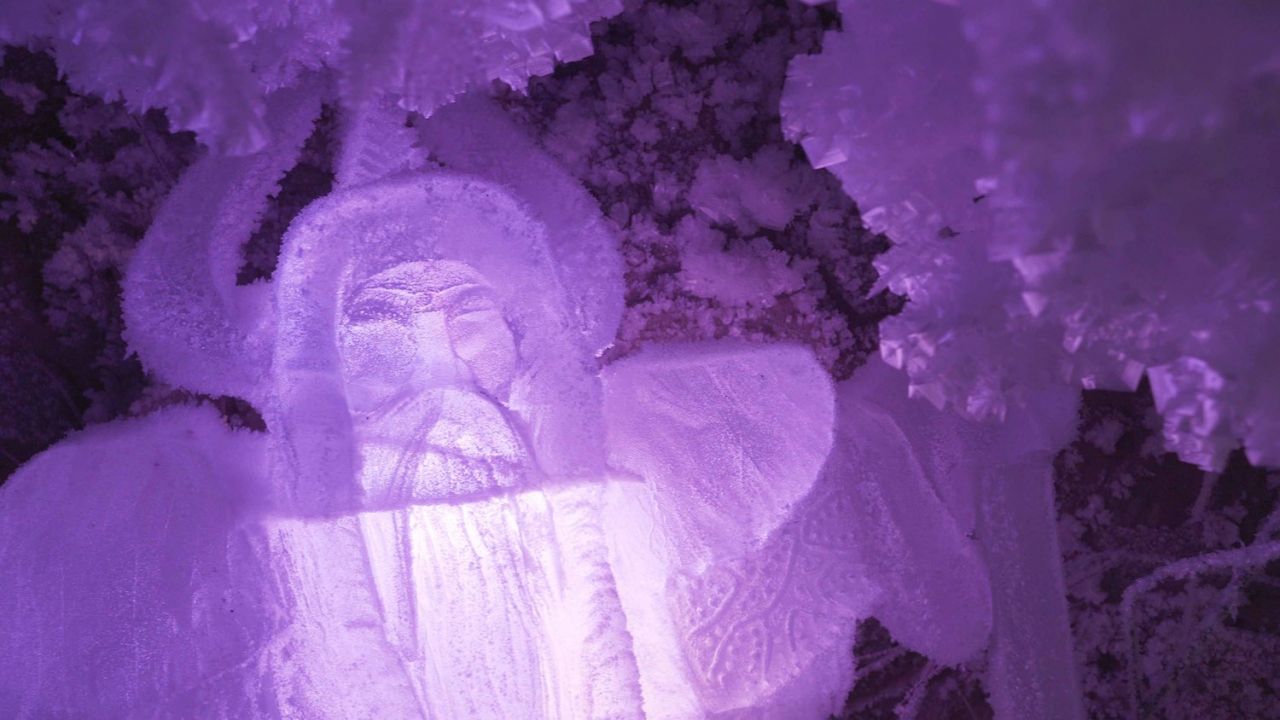 C0048.MP4 00_00_1100183.jpg