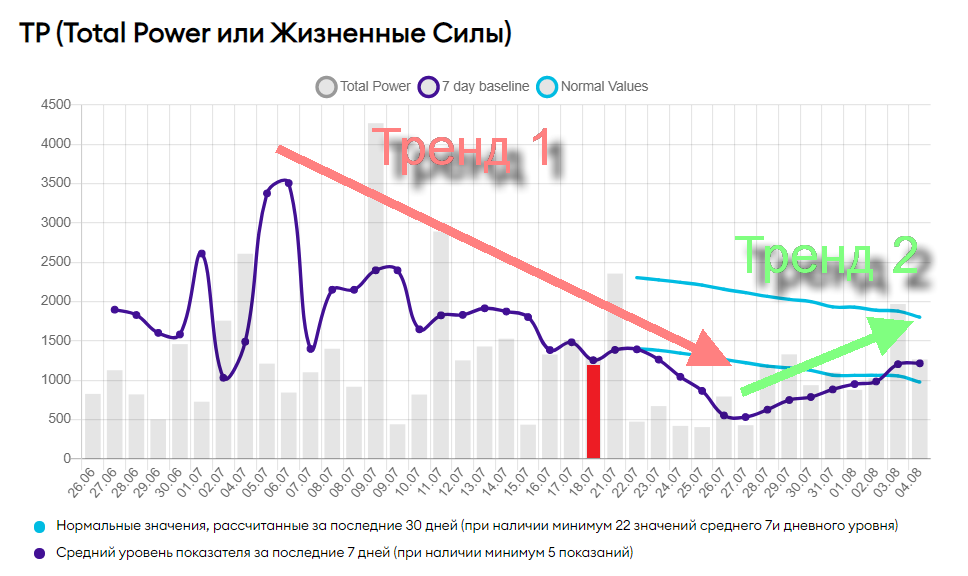 TP-1.png