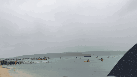 IMG_5303.2019-04-30 13_49_55.gif